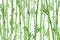 Cartoon Bamboo Forest Landscape Background. Vector