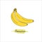 Cartoon bananas. Doodle. Yellow fruits, one banana, a bunch of bananas