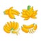 Cartoon bananas. Peel banana, yellow fruit set