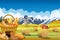 Cartoon beautiful fall farm scene