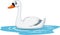 Cartoon beauty swan floats on water