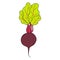 Cartoon beetroot with beet greens. Symbol of property nutrition. Vector illustration of vegetable isolated on white