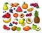 Cartoon berries and fruits. Pineapple grapes, pear apple, orange mango, melon kiwi, banana lemon. Vector isolated set