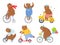 Cartoon biked bear. Bears on children tricycle, unicycle and retro bicycle. Animal riding bike, bicycles and scooter