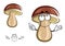 Cartoon birch mushroom with brown hat