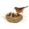 Cartoon bird`s nest with chicks. Vector illustration for children. Springtime.