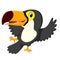 Cartoon bird toucan dancing