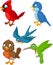 Cartoon birds collection set