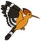 Cartoon birds. Cute beautiful hoopoe flies