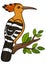 Cartoon birds. Cute beautiful hoopoe sits on the branch