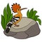 Cartoon birds. Cute beautiful hoopoe sits on the stone