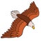 Cartoon birds for kids: Eagle. Cute bald eagle flying.