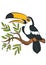 Cartoon birds for kids. Little cute toucan.