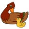 Cartoon birds for kids. Mother duck with her cute duckling.