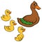 Cartoon birds for kids. Mother duck swims with her ducklings