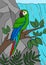 Cartoon birds. Parrot green macaw sits on the tree branch