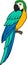 Cartoon birds. Parrot yellow macaw sits and smiles