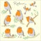 Cartoon birds. Robin set