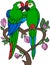Cartoon birds. Two cute parrots green macaw sit on the tree branch. The branch looks like a heart