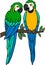 Cartoon birds. Two cute parrots yellow macaw sit on the tree branch