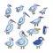 Cartoon birds vector color illustrations set