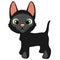 Cartoon black cat with green eyes, vector pets