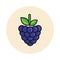 Cartoon blackberry icon