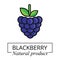 Cartoon blackberry label vector