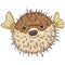 Cartoon Blowfish. Tetraodontidae Vector Illustration