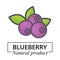 Cartoon blueberry label vector