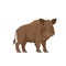 Cartoon boar on a white background. Flat cartoon illustration for kids.