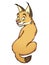 Cartoon bobcat lynx cute kitten vector