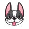 A cartoon of a Boston Terrier`s face