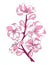 Cartoon branch of cherry blossoms. Illustration of a sakura branch with flowers. Logo. Picture of the symbol of spring.