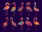 Cartoon brazilian flamingo birds, vector set