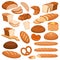 Cartoon bread. Bakery rye products, wheat and whole grain sliced bread. French baguette, croissant and bagel, toast