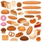 Cartoon bread and cakes. Bakery wheat products, rye breads. Baguette, pretzel and ciabatta, croissant and cupcake