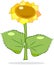 Cartoon bright sunflower