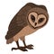 Cartoon brown owl. Woods wildlife feathered owl, forest wild predator bird flat vector illustration