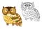 Cartoon brown short eared owl