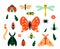 Cartoon bugs. Garden insects and plant leave or flowers. Isolated butterflies, moths and caterpillars. Beetles and