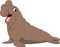 Cartoon bull elephant seal on white background