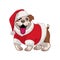 Cartoon Bulldog wearing santa claus costume