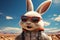 Cartoon bunny dons sunglasses, navigating the sun drenched desert terrain