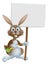 Cartoon bunny rabbit carrot and sign