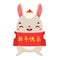 Cartoon bunny with red scroll Translation means HAPPY NEW YEAR. Happy Chinese new year celebration character for 2023 year of the