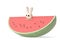 A cartoon bunny with watermelon,3D illustration.