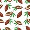 Cartoon cacao pattern. Seamless print of abstract cocoa beans chocolate products organic food concept for package design