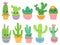 Cartoon cactus. Cute succulent or cacti plant with happy funny face, tropical smiling flower sticker, mexican plants