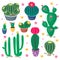 Cartoon cactus set with cute colorful cacti. Desert plants in the pots and succulent flowers. Botanical